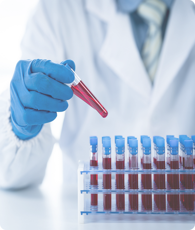 toxicology types studies