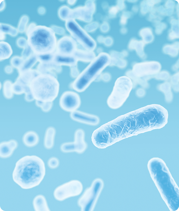 Antibodies