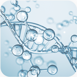 genotoxity