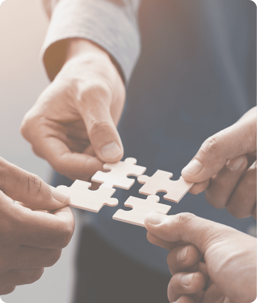 About us vectorb2b