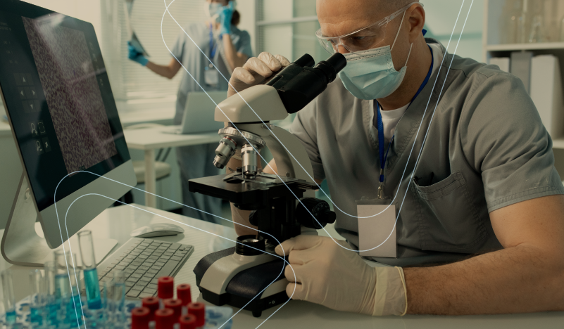 GLP toxicology studies in rodents: a critical foundation for the development of new compounds