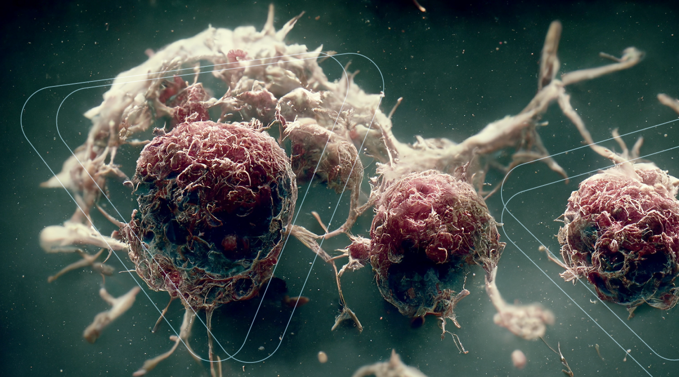 The principles and applications of xenograft models in preclinical oncology research