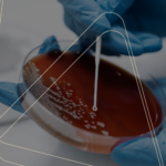 How can in vivo phage display support antibody selection and targeted drug development?