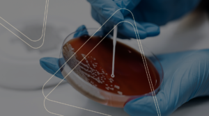 How can in vivo phage display support antibody selection and targeted drug development?