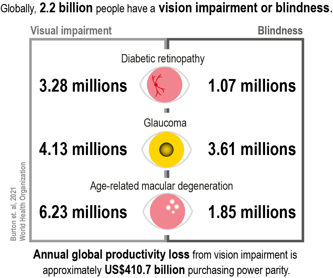 How do in vivo models in retinal research bridge pathophysiology and translational development?