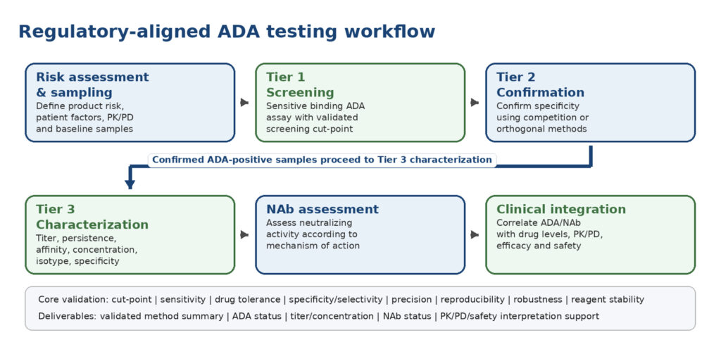 Regulatory-aligned ADA testing workflow