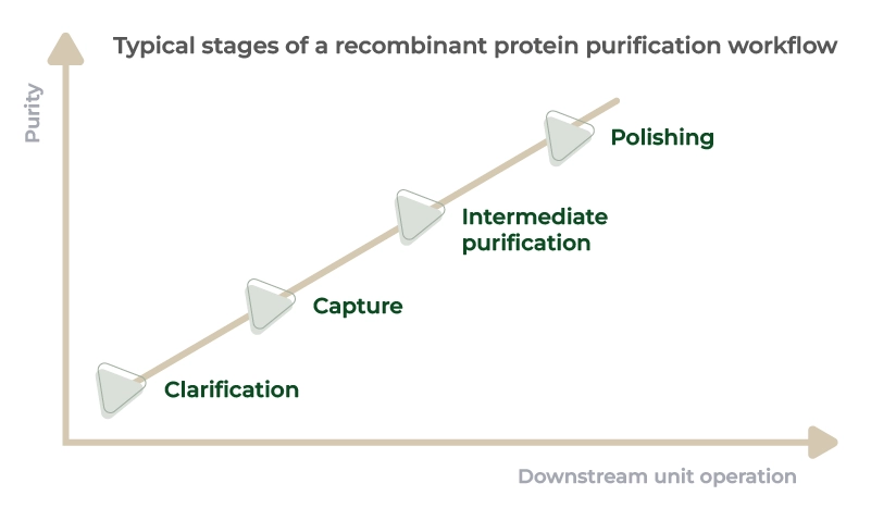 Recombinant protein purification with ÄKTA™ systems